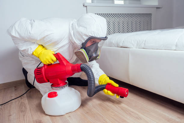 Wasp Removal Services in Blountville, TN